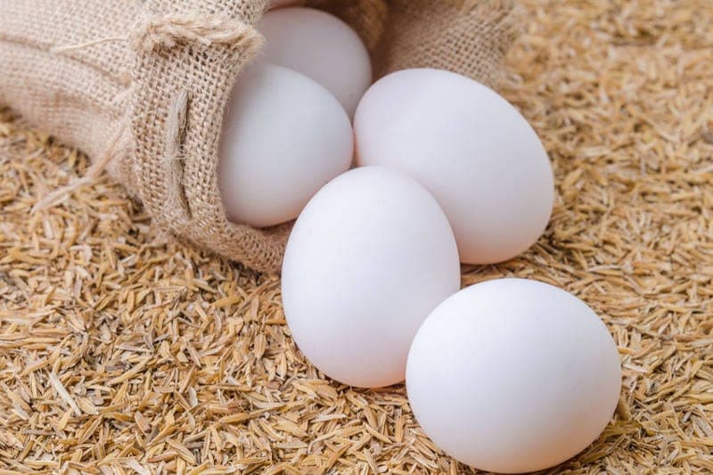 Farm eggs (white)