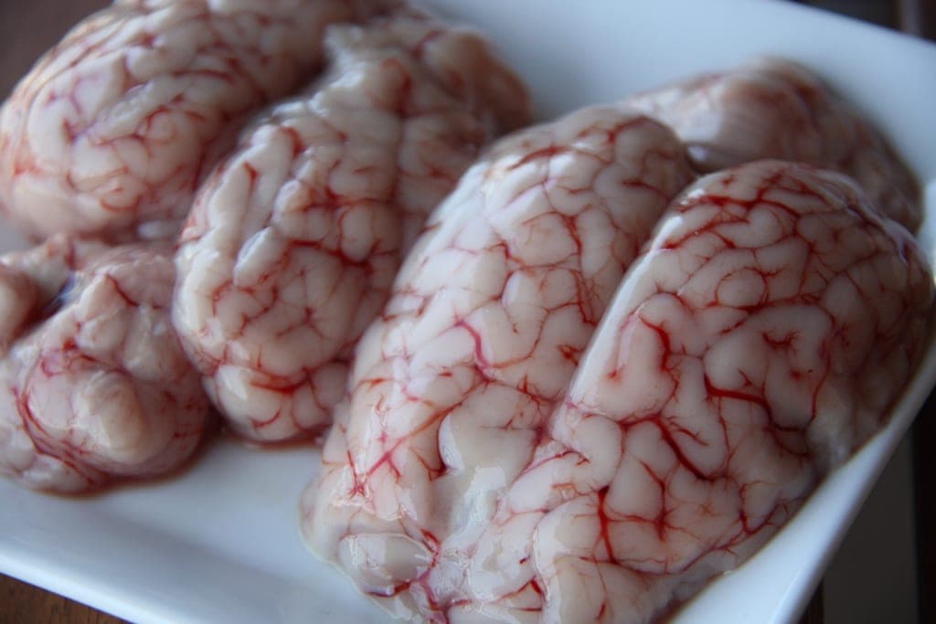Mutton brain