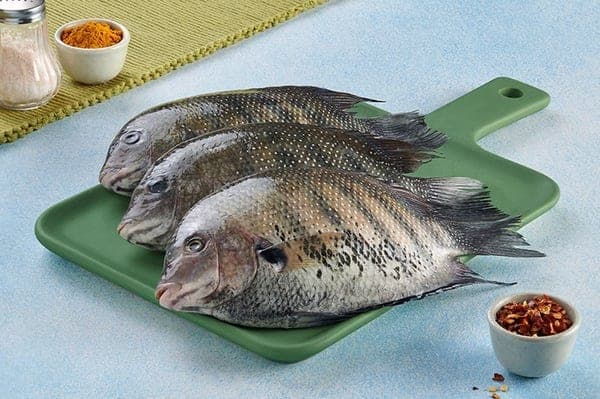 Pearl spot (Karimeen)
