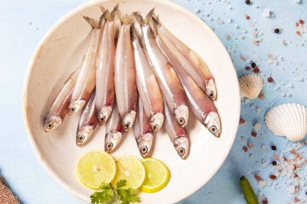 Anchovy (Netholi)