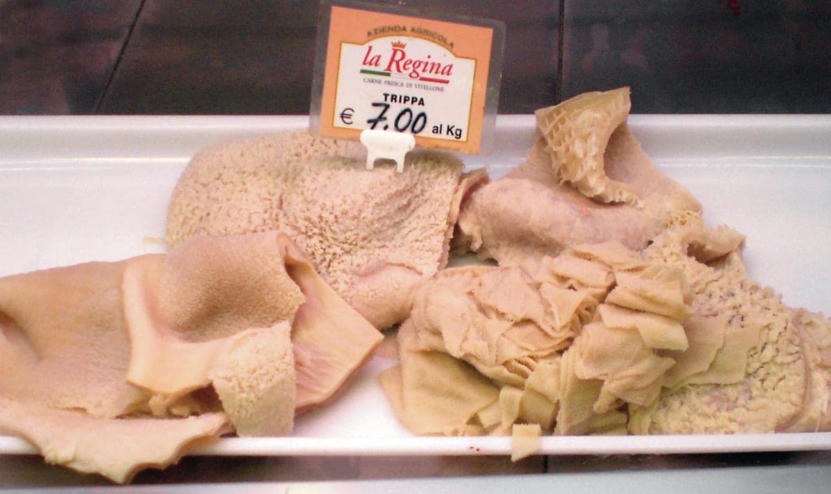 Beef tripe (Botti)