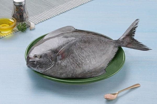 Black pomfret (Avoli)