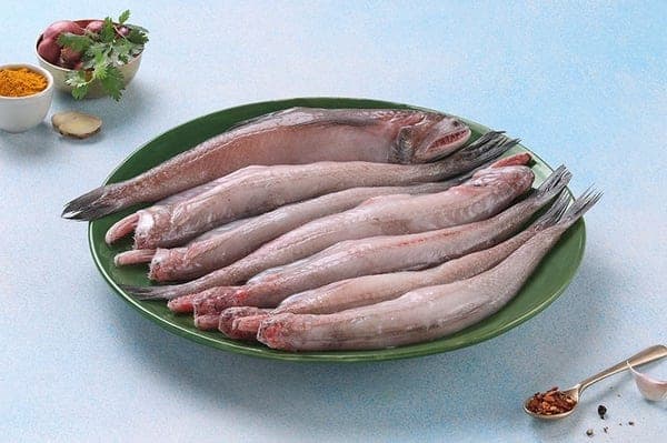 Bombay duck (Bummalo)