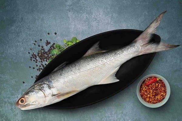 Indian salmon (Kaala)