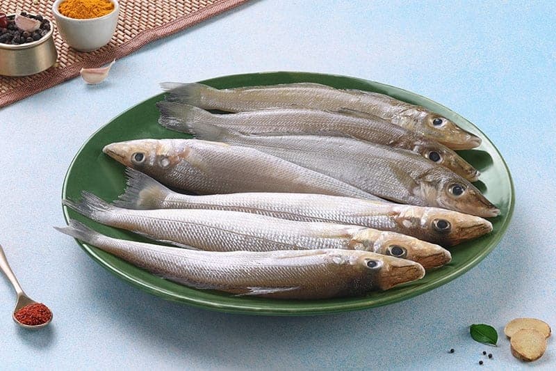 Lady fish (Kanambu)