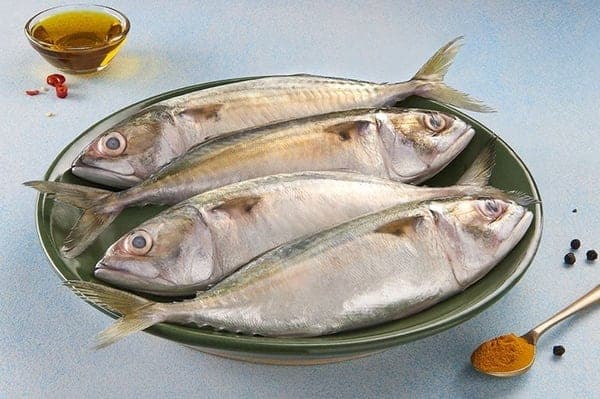 Mackerel (Ayala)