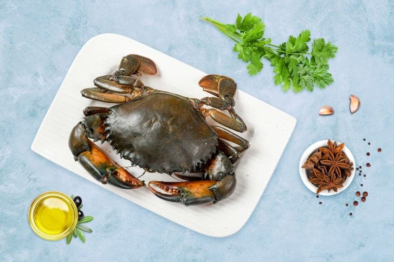 Mud crab (Njandu)