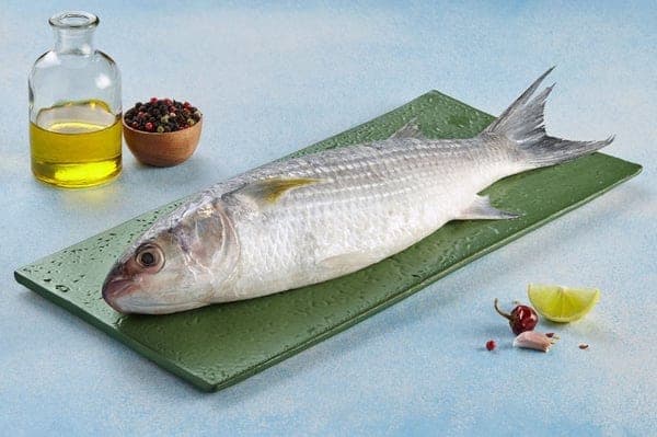 Grey mullet (Thirutha)