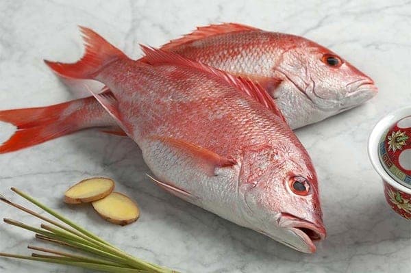 Red snapper (Chempalli)