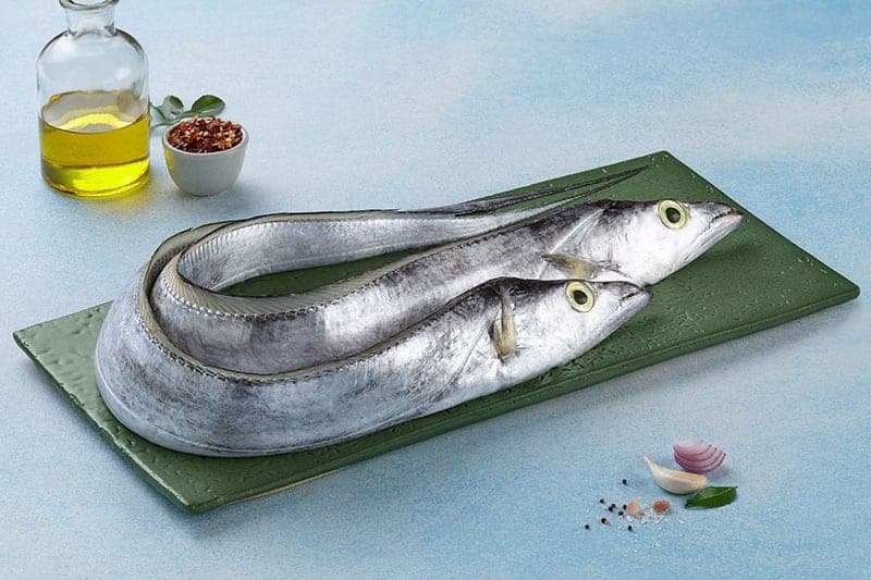 Ribbon fish (Vaala)