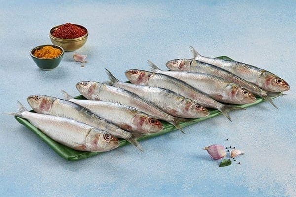 Sardine (Mathi)