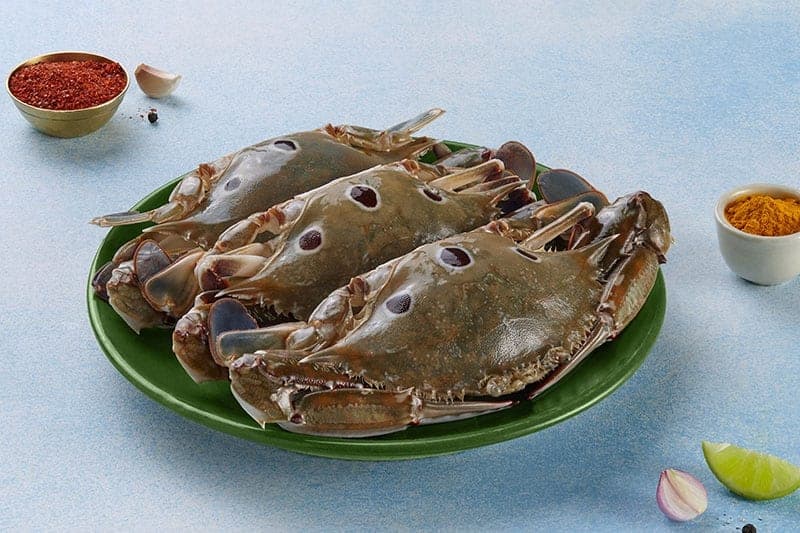 Sea crab (Kadal njandu)
