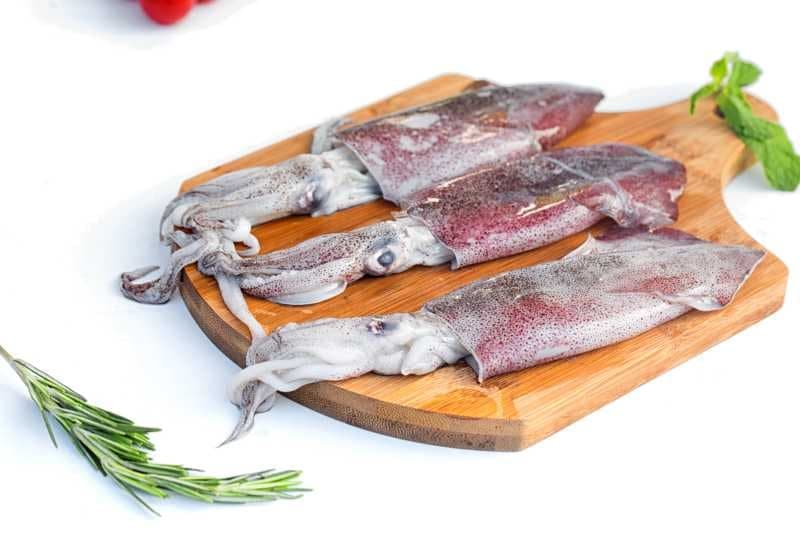 Squid (Koonthal)