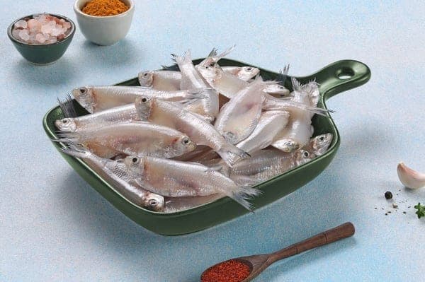 White sardine (Veloori)